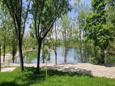 Apartment Romantisches Wald-Retreat - Environment photo 36