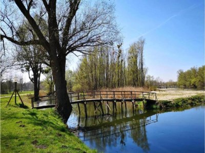 Apartment Romantisches Wald-Retreat - Environment photo 37