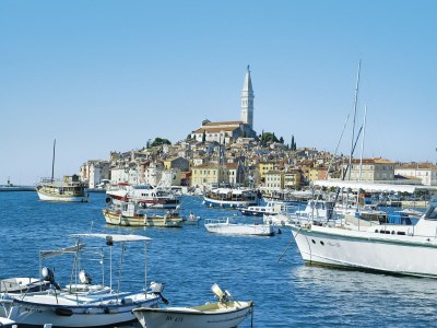 Villa Elegant Villa with Private Pool - Environment photo 36