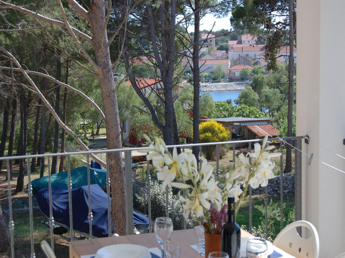 Apartment Apartment on Dugi Otok near Sakarun Beach - Outdoor photo 4