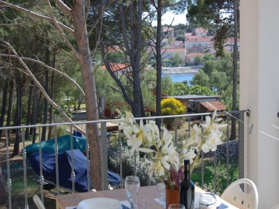 Apartment Apartment on Dugi Otok near Sakarun Beach - Outdoor photo 4