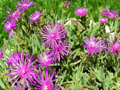 Villa Villa in Neoric mit Pool und Whirlpool - Outdoor photo 11