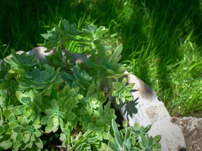 Villa Villa in Neoric mit Pool und Whirlpool - Environment photo 31