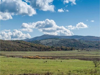 Villa Villa in Neoric mit Pool und Whirlpool - Environment photo 35
