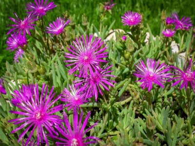 Villa Villa in Neoric mit Pool und Whirlpool - Environment photo 37