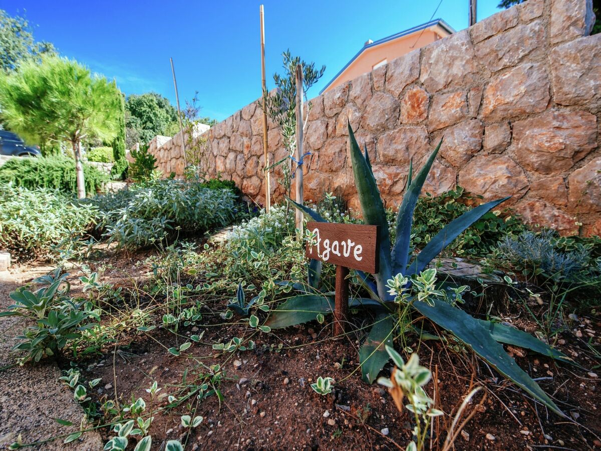 Apartment Wohnung in Starigrad am Meer - Outdoor photo 5