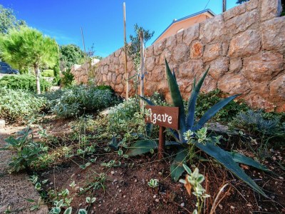 Apartment Wohnung in Starigrad am Meer - Outdoor photo 5