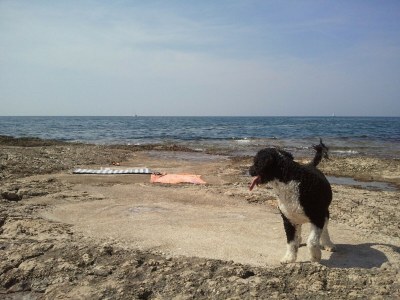 Holiday house Geräumiges Haus in Dalmatien - Environment photo 20