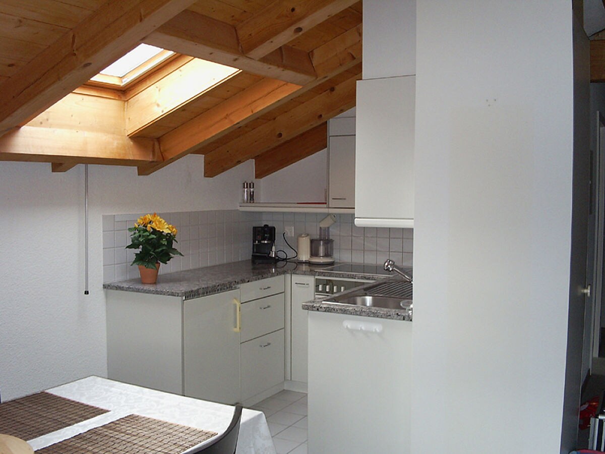 Holiday apartment 2 - 4 beds in the  "Berner Oberland" - Features photo 5
