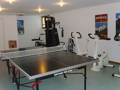 Holiday apartment 2 - 4 beds in the  "Berner Oberland" - Features photo 14