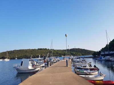 caravan Mobile Home in Banjole with Pool near Beach - Environment photo 25
