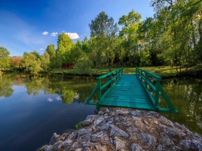 Villa Villa in Ripenda Kras with Pool and Sauna - Environment photo 29