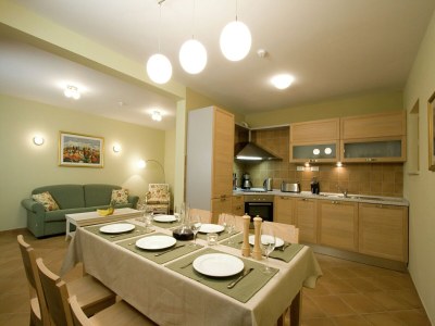 Villa Charming villa with spacious rooms and private swimming pool in the lavender island of Hvar - Features photo 10