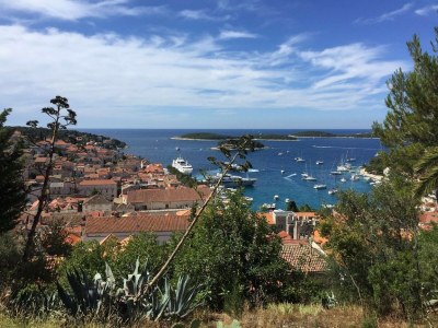 Villa Charming villa with spacious rooms and private swimming pool in the lavender island of Hvar - Environment photo 18