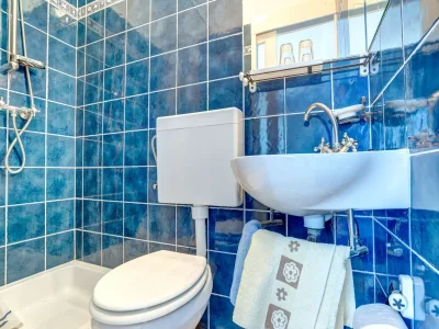 Villa Apartment Crikvenica near Sandy Beach - Features photo 13