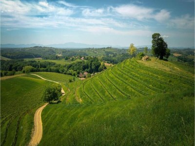 Villa Apartment Crikvenica near Sandy Beach - Environment photo 29