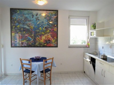 Apartment Seaside Bliss in Mandre - Features photo 22