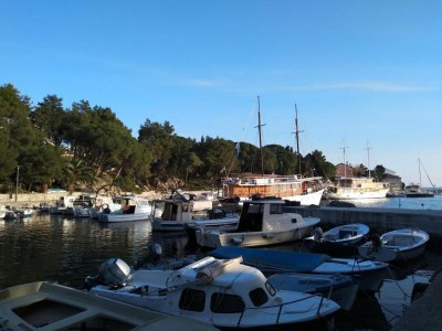 Apartment Seaside Bliss in Mandre - Environment photo 31