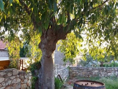 Holiday house Ferienhaus in Marina nahe Stränden - Outdoor photo 19