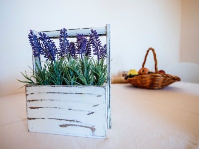 Apartment Wohnung in Starigrad nahe Paklenica Park - Outdoor photo 38