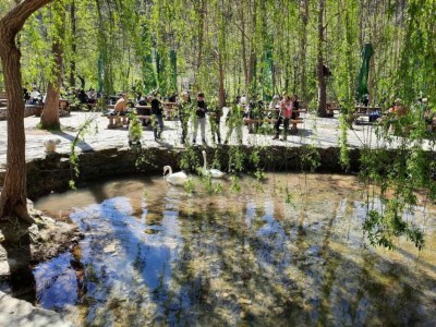 Apartment Apartment with Terrace - Environment photo 36