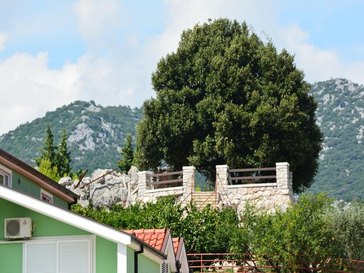 Holiday house Holiday Bliss in Peracko Blato - Outdoor photo 3