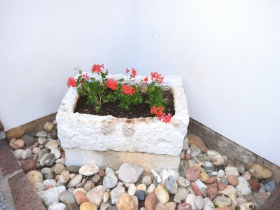 Holiday house Charming Villa with Pool in Zbandaj - Outdoor photo 23