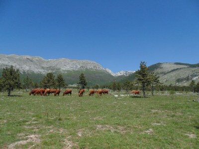 Holiday house Ferienhaus in Starigrad am Strand - Environment photo 31