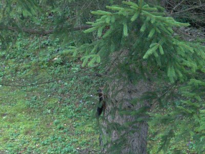 Holiday house Ferienhaus in Vrbovsko nahe Kamačnik Pfad - Outdoor photo 7