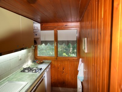 Holiday house Ferienhaus in Vrbovsko nahe Kamačnik Pfad - Features photo 8