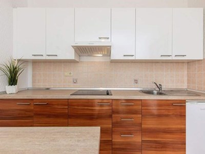 Apartment Country House in Croatia with Pool - Features photo 11