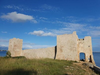 Holiday house Villa auf Adriatischer Insel mit Pool - Environment photo 17