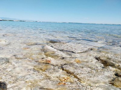 Holiday house Villa auf Adriatischer Insel mit Pool - Environment photo 20