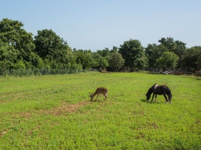 Holiday house Ferienhaus Vodnjan mit Pool & Meer - Outdoor photo 23