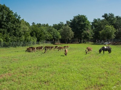 Holiday house Ferienhaus Vodnjan mit Pool & Meer - Outdoor photo 24
