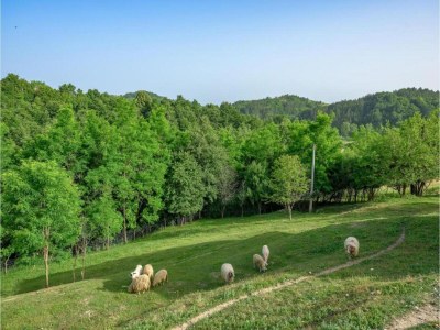 Apartment Apartment in Istria with Nature Views - Environment photo 28