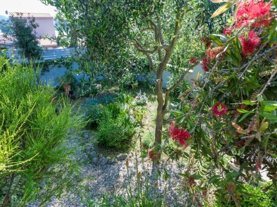 Holiday house Holiday Home in Molat with Pool - Outdoor photo 5