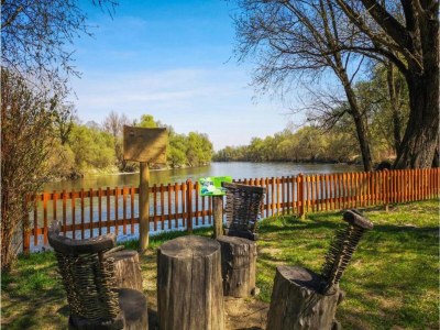 Holiday house Holiday Home in Molat with Pool - Environment photo 33