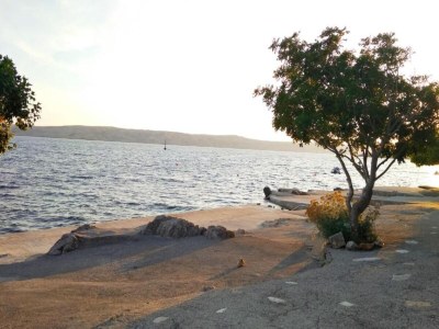 Apartment Apartment on Pag Island near Seabeach - Environment photo 23