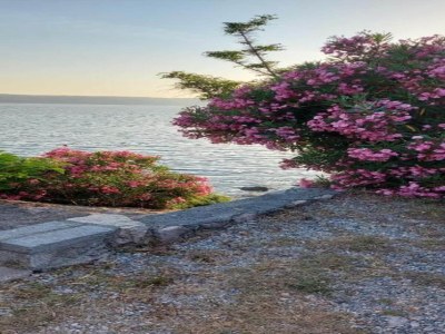 Apartment Apartment on Pag Island near Seabeach - Environment photo 27