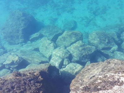 Apartment Apartment on Pag Island near Seabeach - Environment photo 32