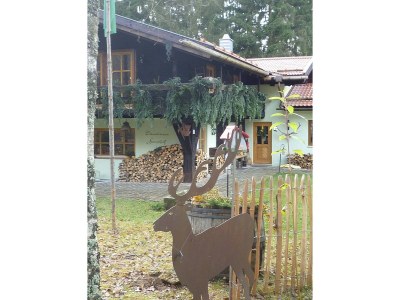 Cottage Duerrwieser forester's house - Outdoor photo 6