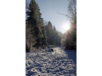 Cottage Duerrwieser forester's house - Environment photo 26