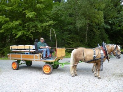 Cottage Duerrwieser forester's house - Environment photo 27