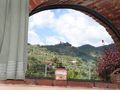 Holiday house between Florence and Lucca - Outdoor photo 7