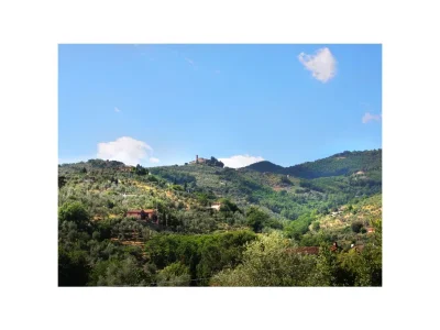 Holiday house between Florence and Lucca - Outdoor photo 8