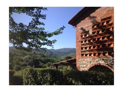 Holiday house between Florence and Lucca - Environment photo 24