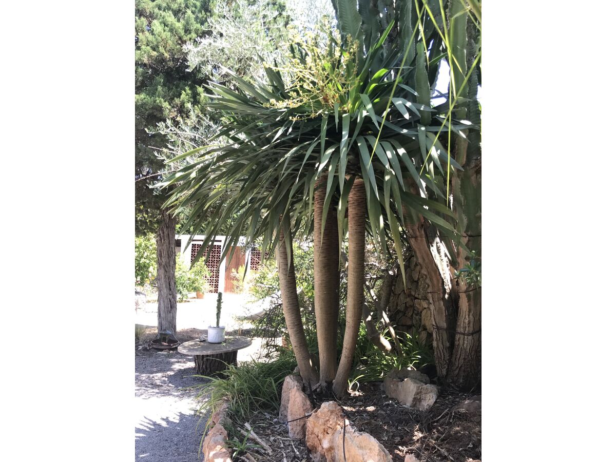 Villa El Tamaris - Outdoor photo 4