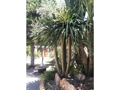 Villa El Tamaris - Outdoor photo 4