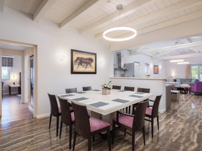 Villa Istria Nuova 5-star Luxury Concept 34 people - Features photo 29